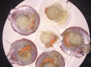取一个空贝壳，粉丝卷一小卷放在贝壳上，再放上贝肉