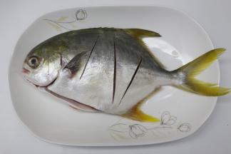 金鲳鱼，洗净处理好内脏，在鱼的表面斜切几道，双面都要切开