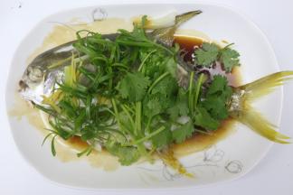 再在金鲳鱼表面放入葱花段，香菜段