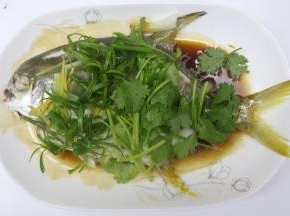再在金鲳鱼表面放入葱花段，香菜段