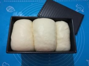 12、	发酵至九分满，注意发酵将结束时要预热烤箱。