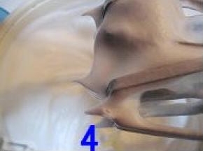 蛋白+3滴白醋+少许盐用打蛋器打至有粗泡时，再分三次加入白糖，将蛋白打发到干性发泡状态（打蛋器提起的蛋白尖呈短而尖的直角）；