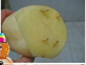 取一土豆片（比莲藕切面稍大一圈），将土豆片用四根牙签固定在莲藕切面；