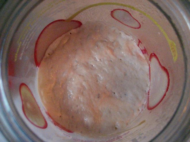 天然酵母培养记录（葡萄干+酸奶酵母种）