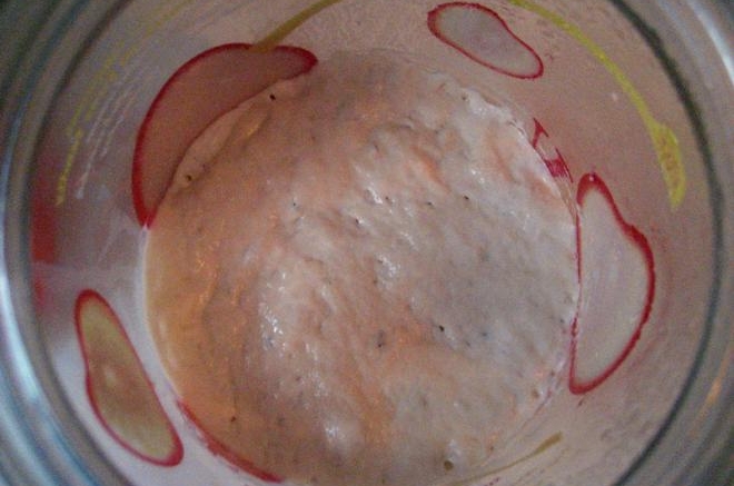 天然酵母培养记录（葡萄干+酸奶酵母种）