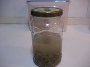 第一步  制作葡萄干酵母液：
       将用开水烫过的葡萄干与水、白糖放在玻璃瓶中，用干净的勺子混合均匀，盖上瓶
   盖，放在温暖的地方；