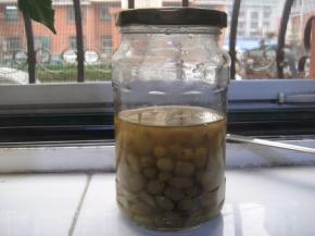 第一步  制作葡萄干酵母液：
   每天打开瓶盖1--2次，适当摇晃瓶子，让酵母呼吸新的空气。我养的天然酵母第二天、第三天的情况没太大变化，只是葡萄干浸泡的大些，并没有出现小泡泡，也没有酒精味道。