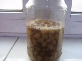 第一步  制作葡萄干酵母液：
  可以看到有小气泡，但气泡并不多；打开瓶盖，可以闻到有酒精味但不强烈；