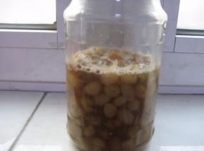 第一步  制作葡萄干酵母液：
  可以看到有小气泡，但气泡并不多；打开瓶盖，可以闻到有酒精味但不强烈；