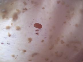 所有材料混合揉至完成阶段；