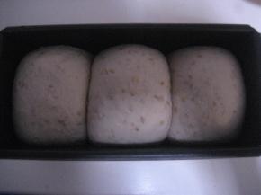 吐司模套上保鲜袋，放温暖处进行最后发酵；面团发酵至九分满，放入预热200度中下层，烤20分钟(温度及时间视自家烤箱情况而定）。的烤箱，