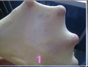 将面包材料（除黄油外）混合均匀，揉制十分钟左右成光滑的面团，加入软化的黄油，揉至扩
   展阶段。