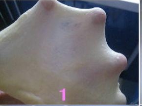 将面包材料（除黄油外）混合均匀，揉制十分钟左右成光滑的面团，加入软化的黄油，揉至扩
   展阶段。