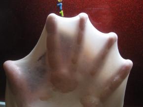 所有材料混合揉至完成阶段；