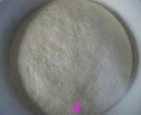 面团冷藏17小时后的状态；