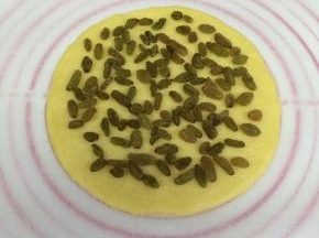 在擀好的饼皮上铺好葡萄干（葡萄干事先温水泡软且沥干水分）。