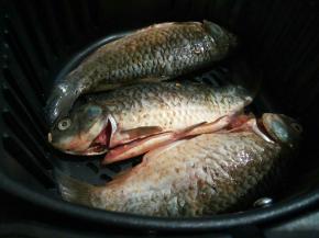 炸锅放入小鲫鱼