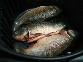 炸锅放入小鲫鱼