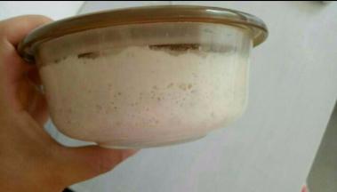 波兰种所有材料混合盖上盖子，放冰箱冷藏20小时左右。里面出现小汽泡就好了