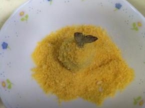 再裹上满满的面包糠。