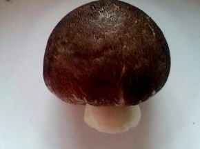 可爱吗？