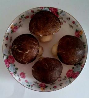 像不像真的。哈哈