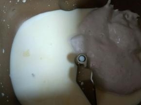 面包机内先放入牛奶和鸡蛋液，对角放盐和fluff棉花糖。