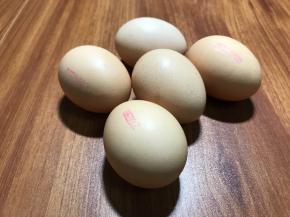 首先选择品质好的鸡蛋，我选的鸡蛋略小，去壳重每个约40克，如果正常中等鸡蛋4个即可，对鸡蛋重量不纠结。