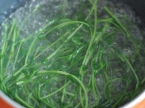 水开后，加点盐，放入豌豆苗煮熟。