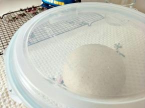 放到容器，发酵。大约2倍大，戳洞不回缩。