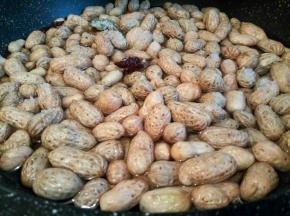  锅里加入水（水要没过花生）加入配料，盐，大火烧开