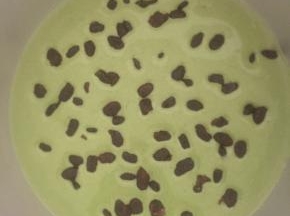 9:取出冷藏的饼底，倒二分之一抹茶慕斯糊进去，然后铺上适量的蜜豆（感觉抹茶和蜜豆是绝配）然后继续倒入剩下的抹茶糊