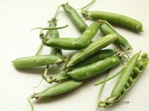 新鲜的豌豆。