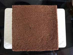 盖上另一片蛋糕片，轻压一下。放入冰箱冷冻3小时以上。