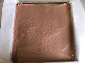 倒入提前铺好油纸的烤盘，抹平表面，轻震烤盘震出大气泡。放入烤箱中层，180度烤20分钟。