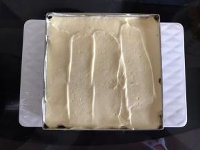 再铺一层芒果芭菲糊，抹平。