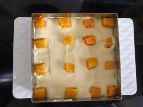 取一片蛋糕片放入慕斯圈底部，铺一层芒果芭菲糊，抹平，放上芒果果粒。