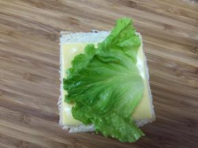 放入一片洗净后的生菜