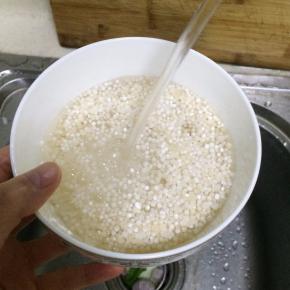 把西米用清水冲一下。