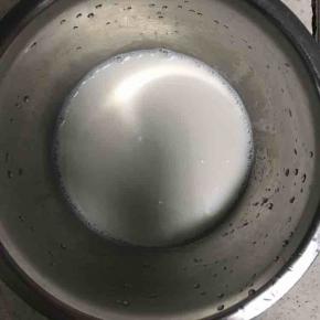 3.牛奶加糖搅拌均匀！
4.将泡好的吉利丁粉隔水加热至融化！均分成两份，分别倒入火龙果汁和牛奶里！此步骤忘记拍图，请自行脑补吧!
