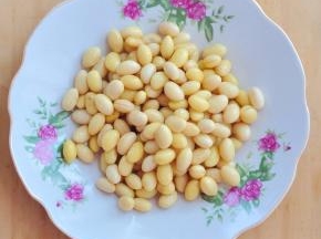 黄豆用水浸泡4小时，体积变大。
