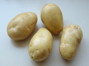 土豆洗净，用两个土豆来做炒土豆丝。