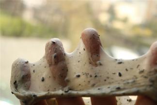 两个面团程序结束，面团可以拉出柔韧的手套膜，超级薄。