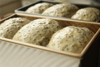 二发好的吐司，表面刷好蛋液。