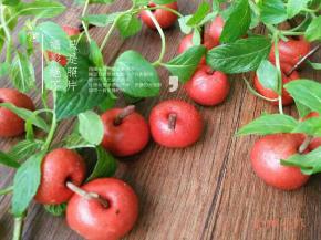 再来个苹果的妹妹山楂吧