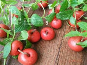 再来个苹果的妹妹山楂吧