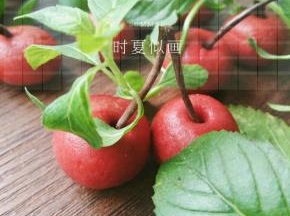 山楂