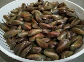 买回来的海瓜子，挑出破损的，有些开小口的不用扔，可以吃的，如果整个都开了，那就挑出来扔掉，有的海瓜子上面会有黑色的絮状物，没有关系，一手轻轻拿着壳，一手把絮状物拉出来就可以了，再倒入水，（有的会浮起来，不用捞起来，那也不是因为坏了的关系）用手轻轻搓几下，因为壳很薄，易碎还扎手，换几遍水直到水清澈，