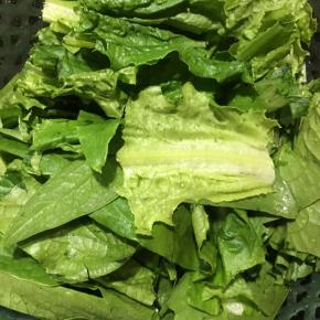 油麦菜洗净切段。