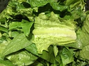 油麦菜洗净切段。